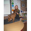 Hond in de klas