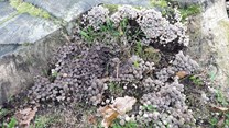 20161028_133316