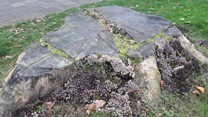 20161028_133326