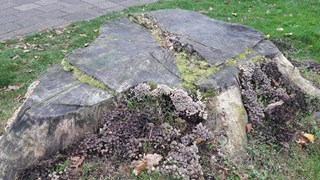 20161028_133326