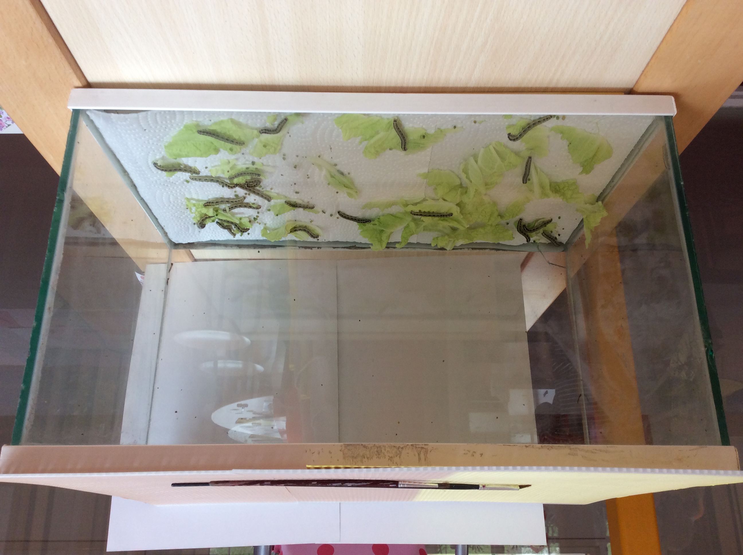 Ondertussen in groep 5/6.....