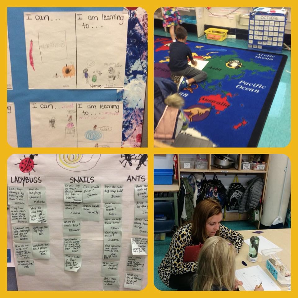 Terug van de Verenigde Staten!