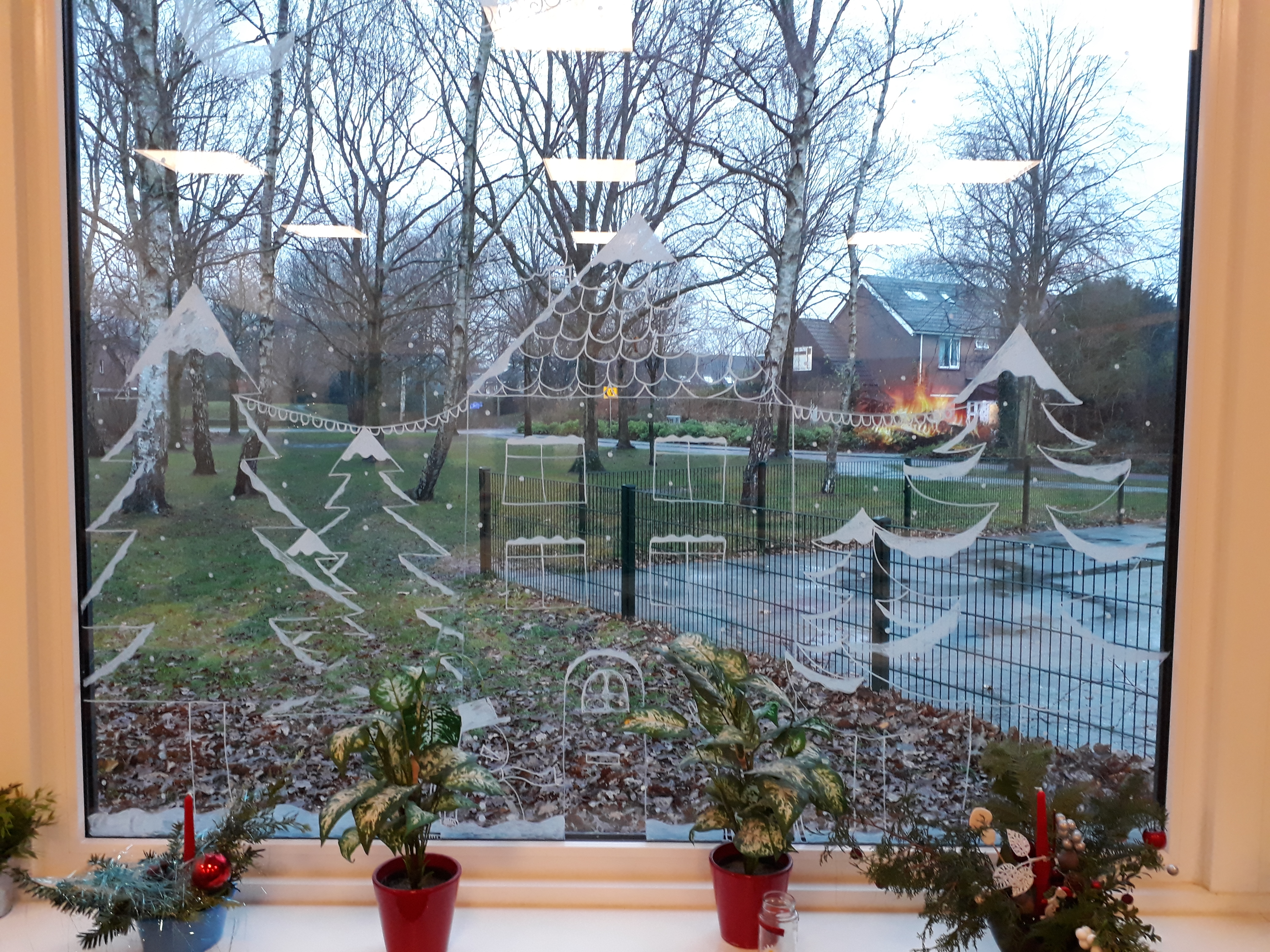 De week van groep 7/8