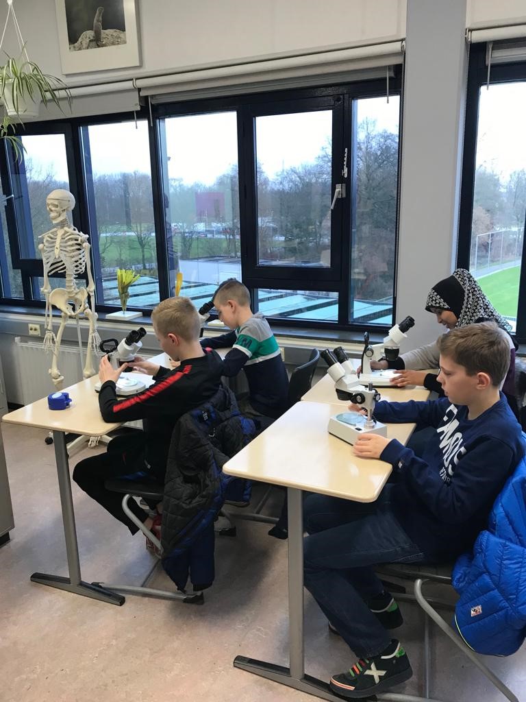 De week van groep 7/8