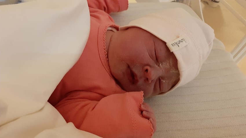 Ziva