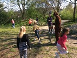 IMG_1501