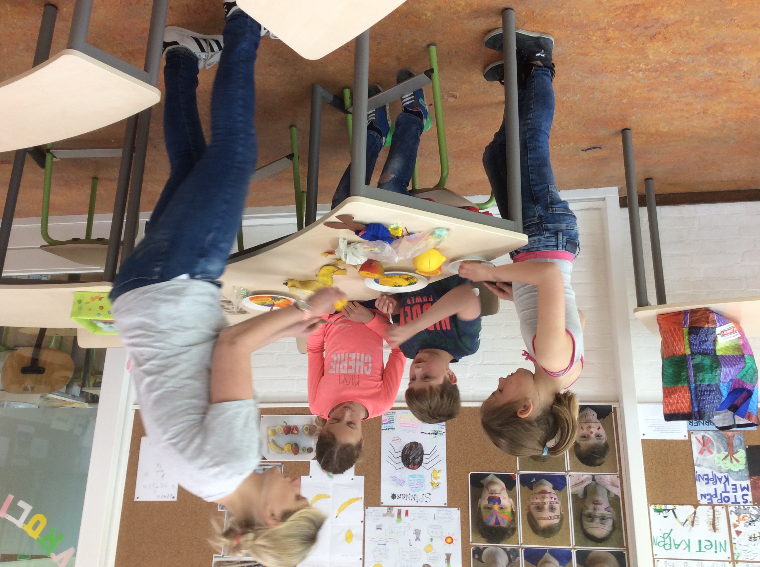 Groep 6 sluit IPC thema af