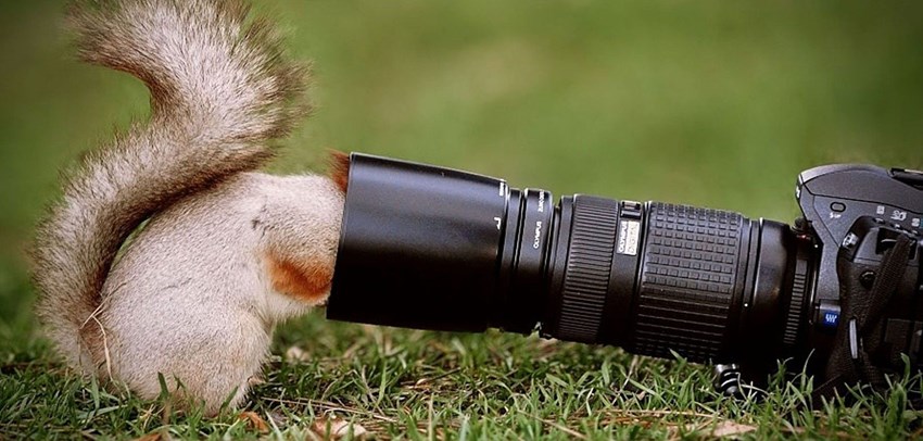 fotografie-1600x765