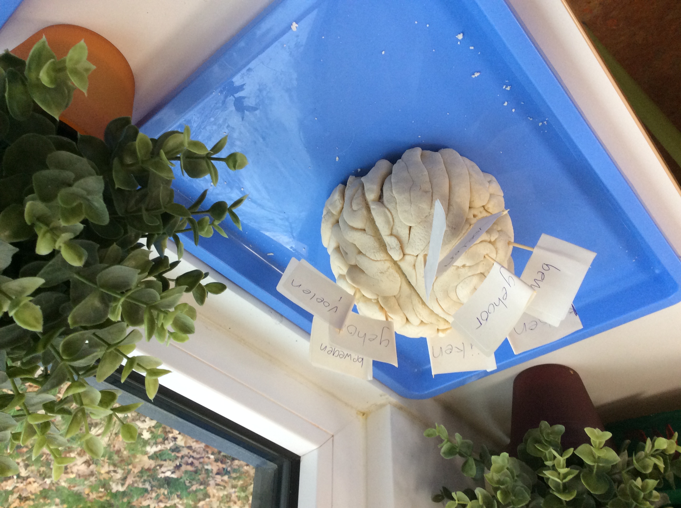 De week van groep 6/7