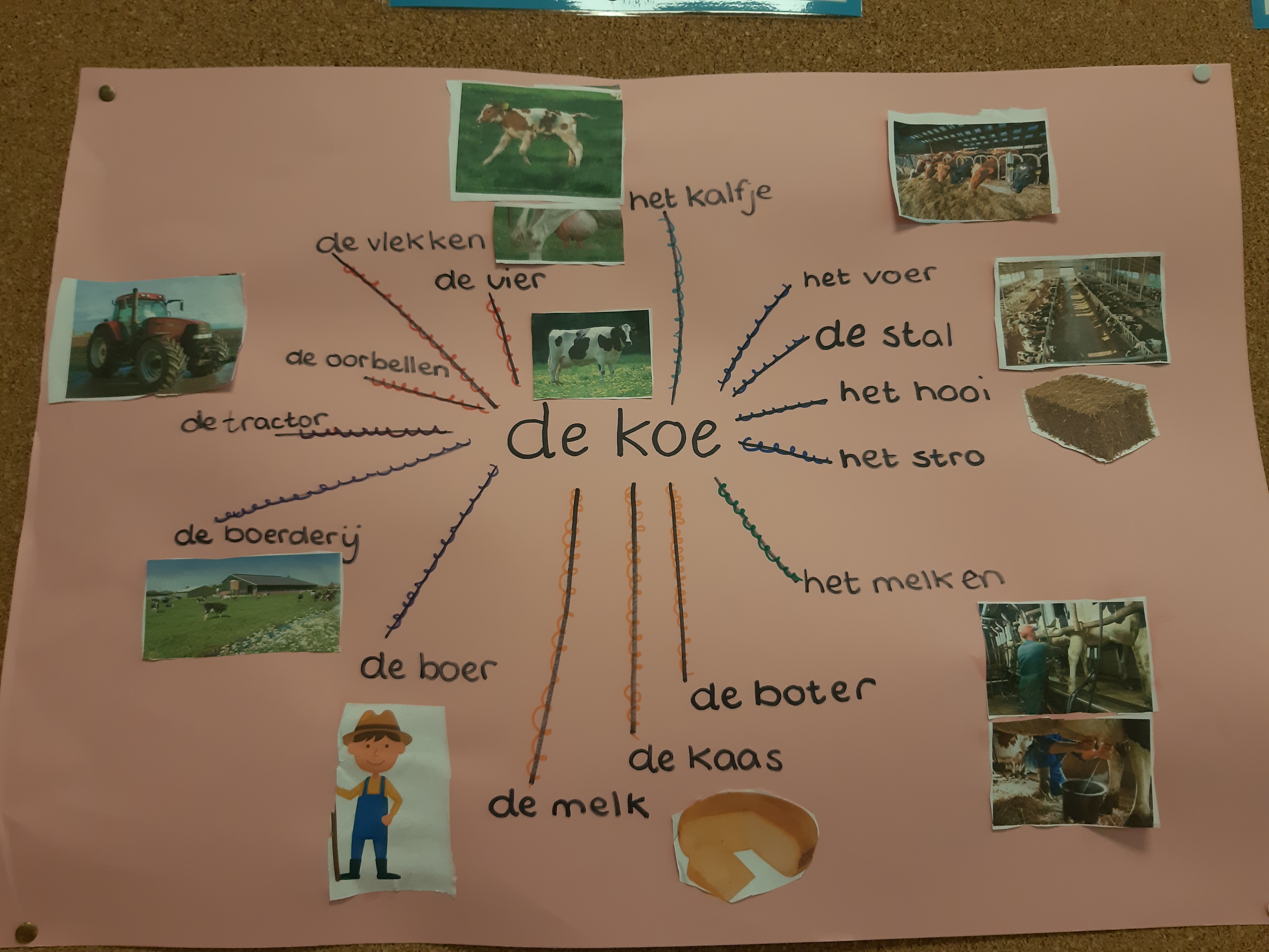 De derde week van groep 1/2a 