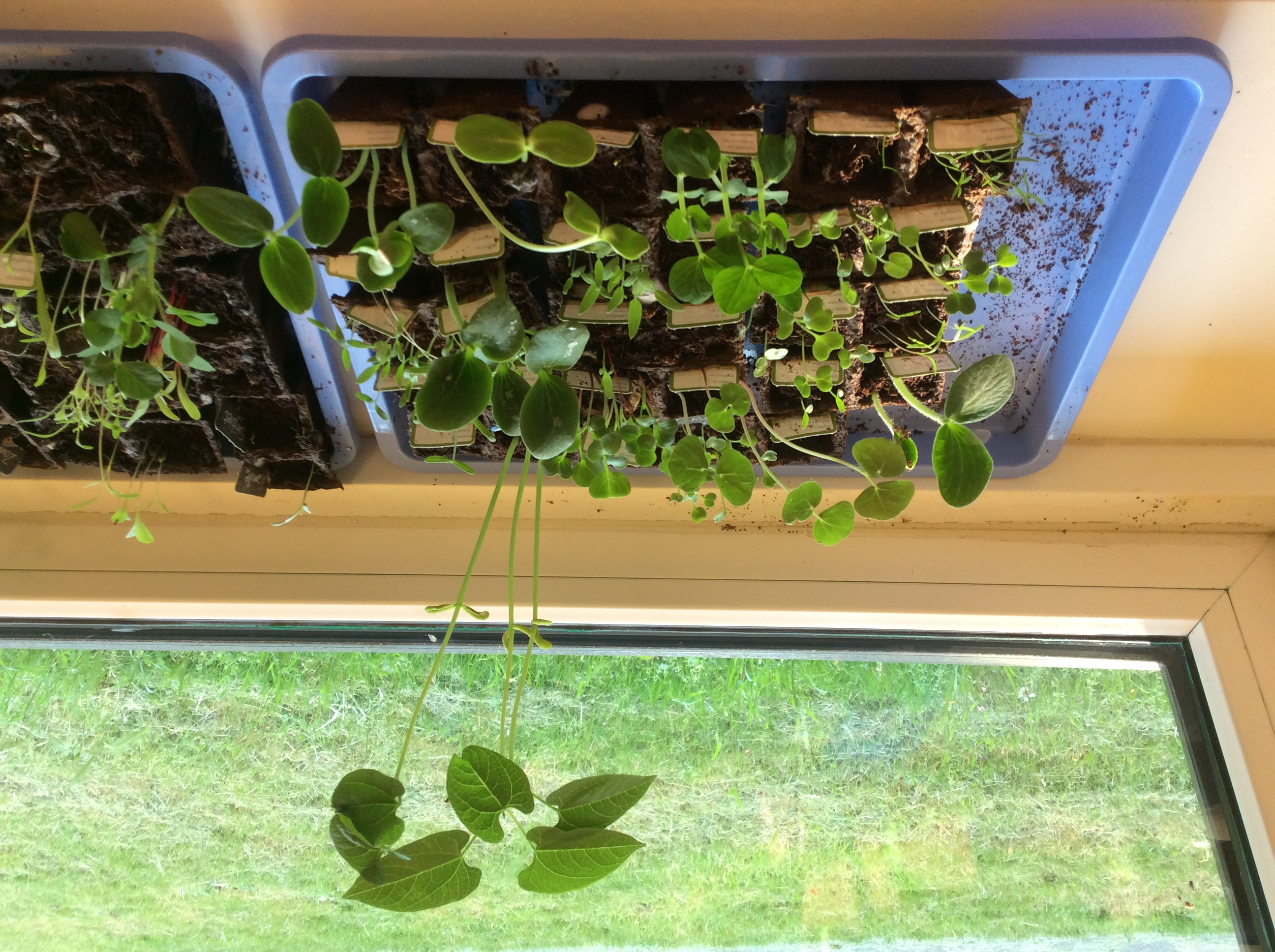 De week van groep 5/6...