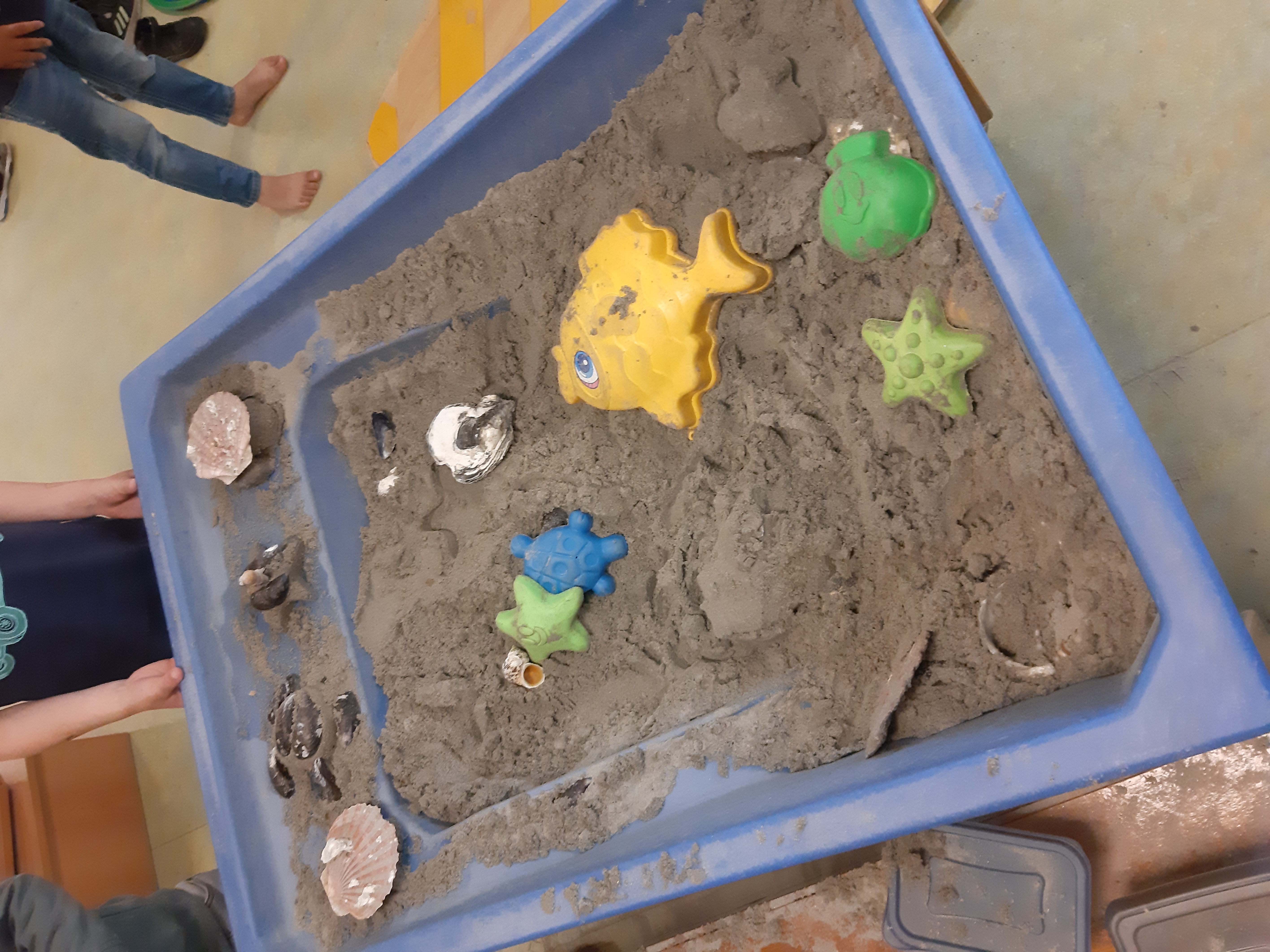 De week van groep 1/2 a