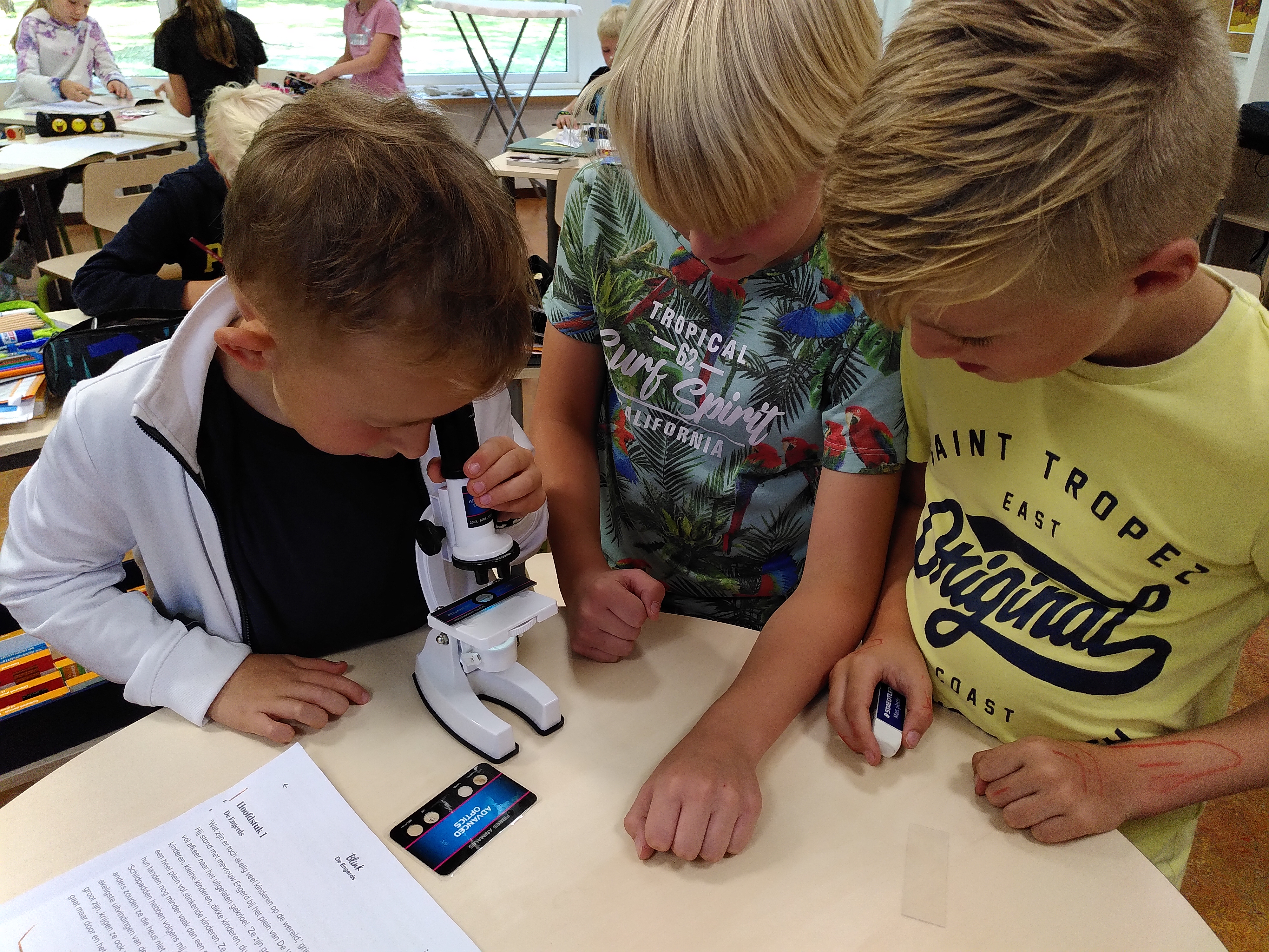 De week van groep 6/7