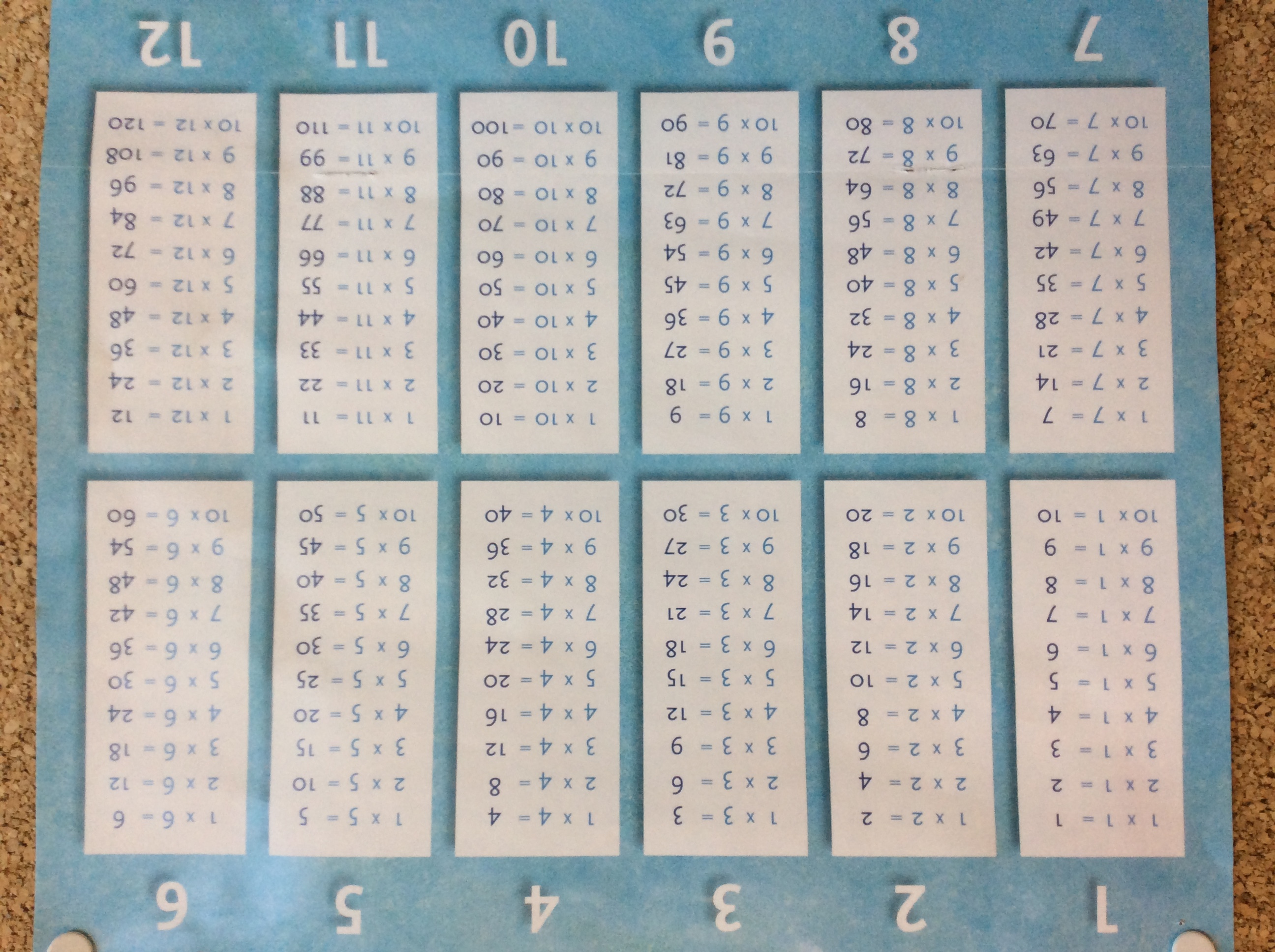 De week van groep 5...