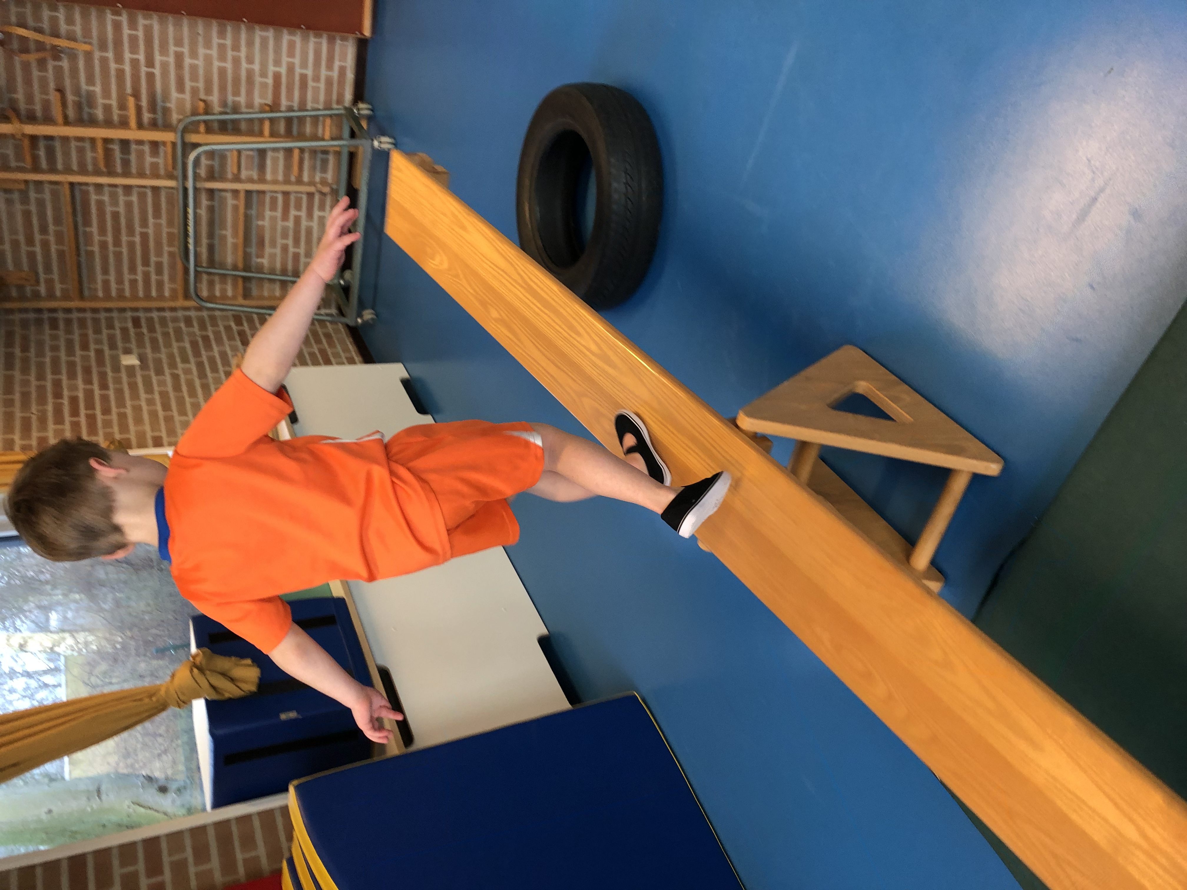 De week van groep 1/2b