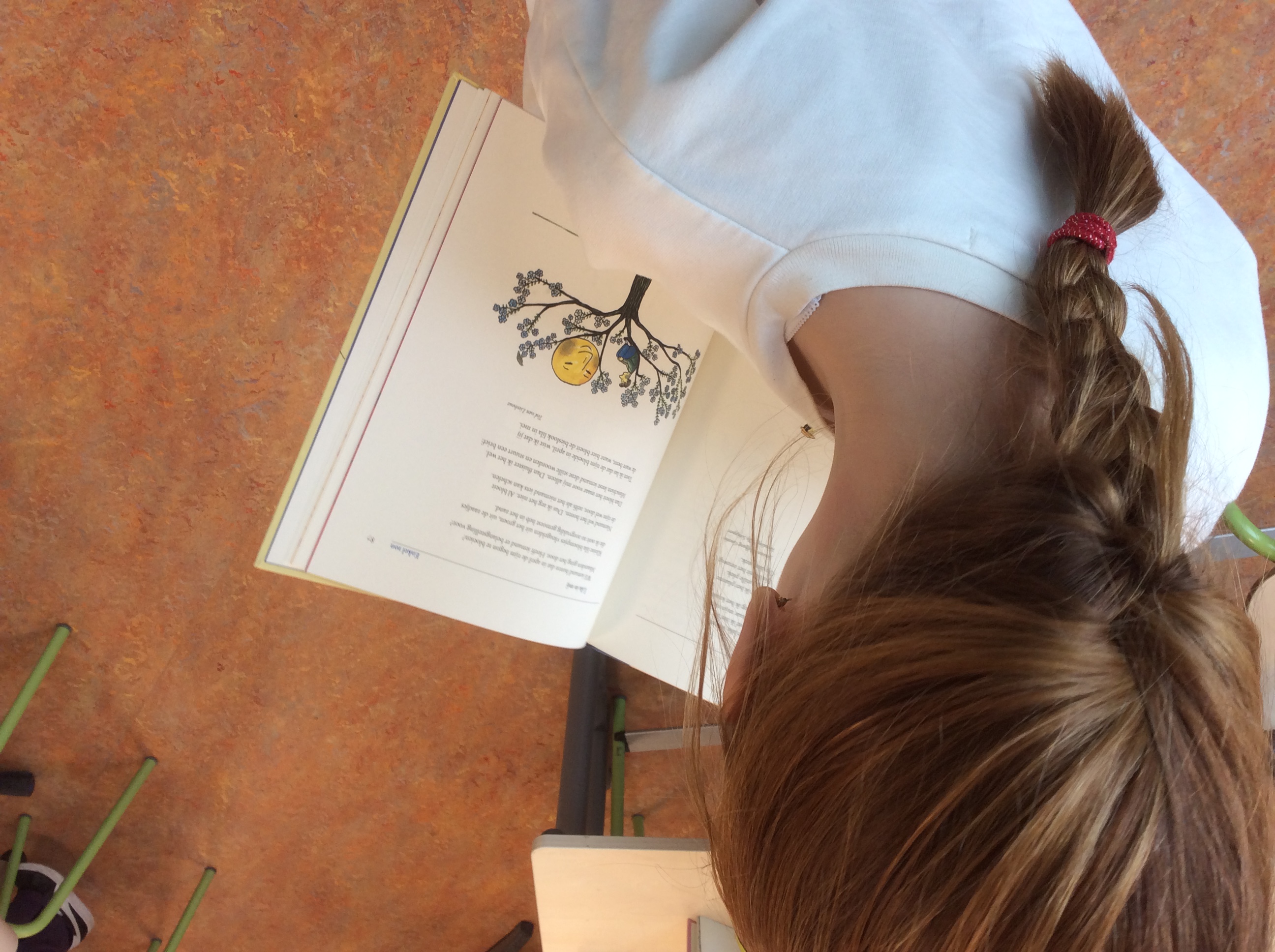 Wist je dat... (lezen)