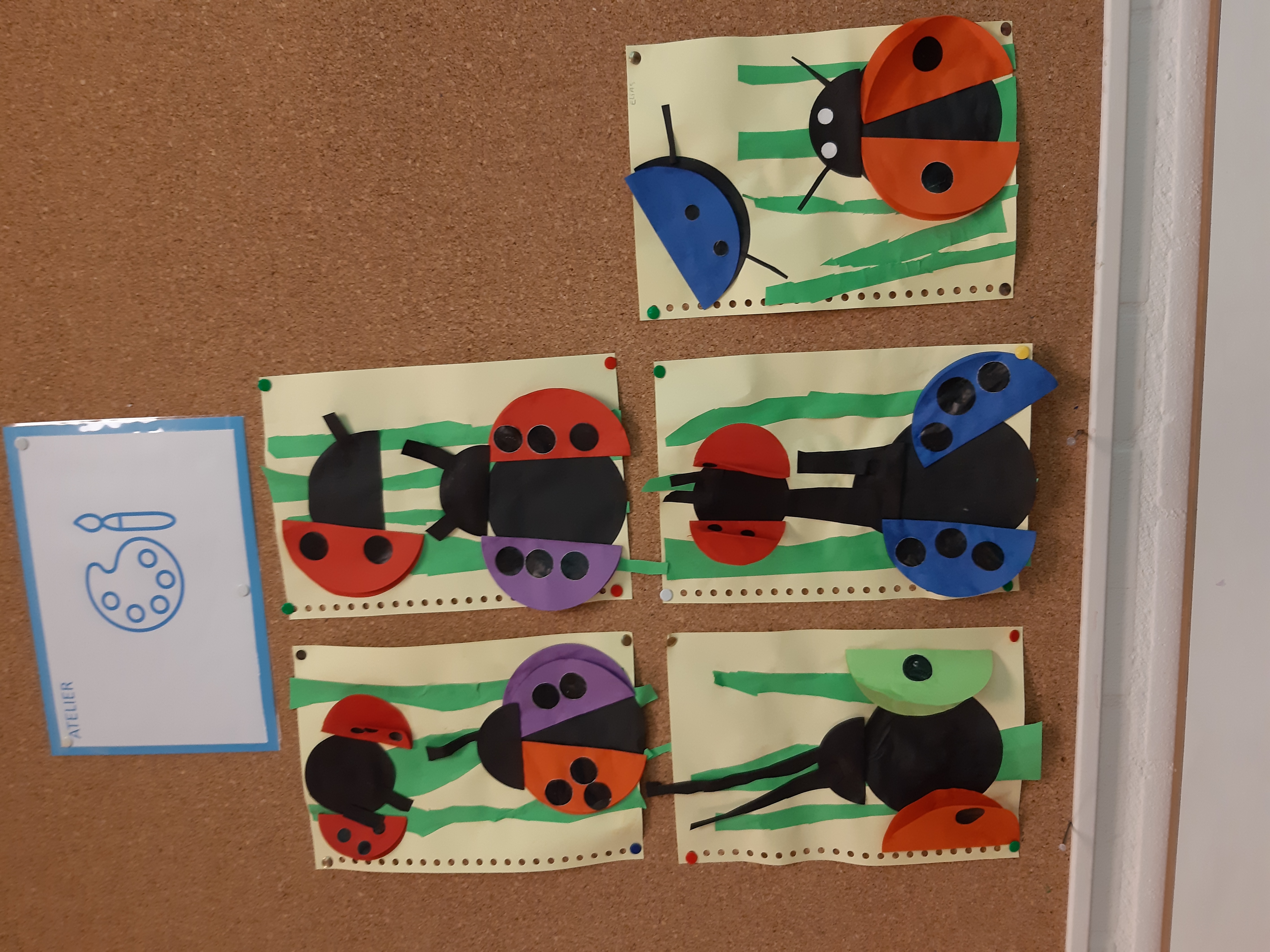 De week van groep 1/2 a