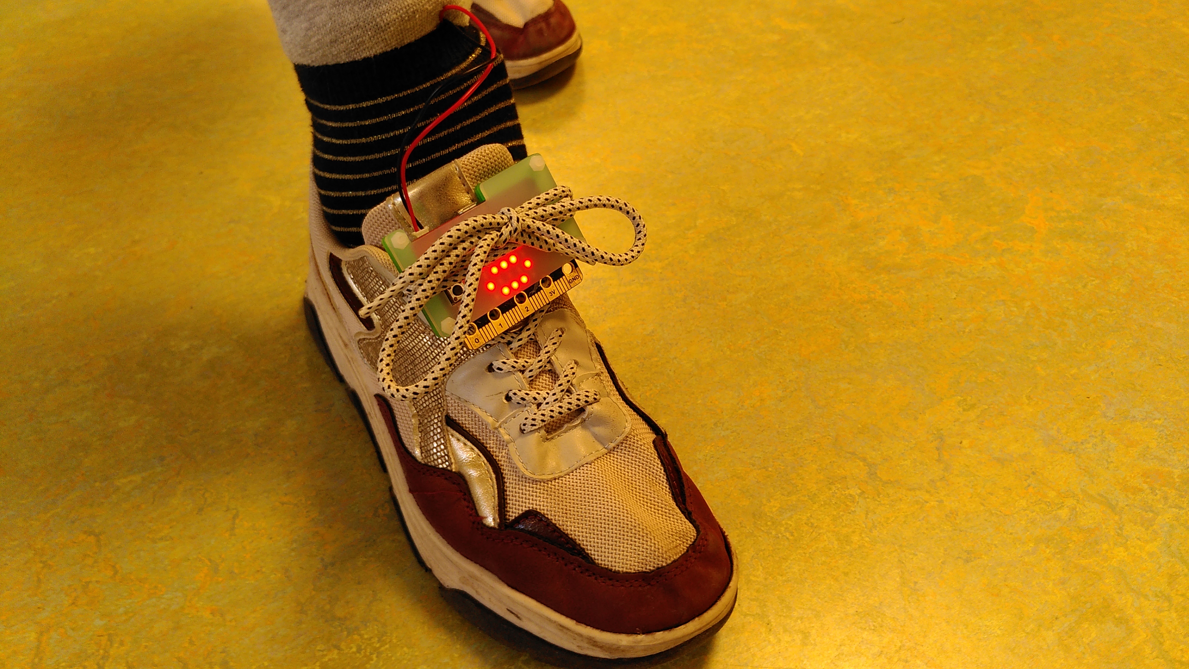 De week van groep 7/8