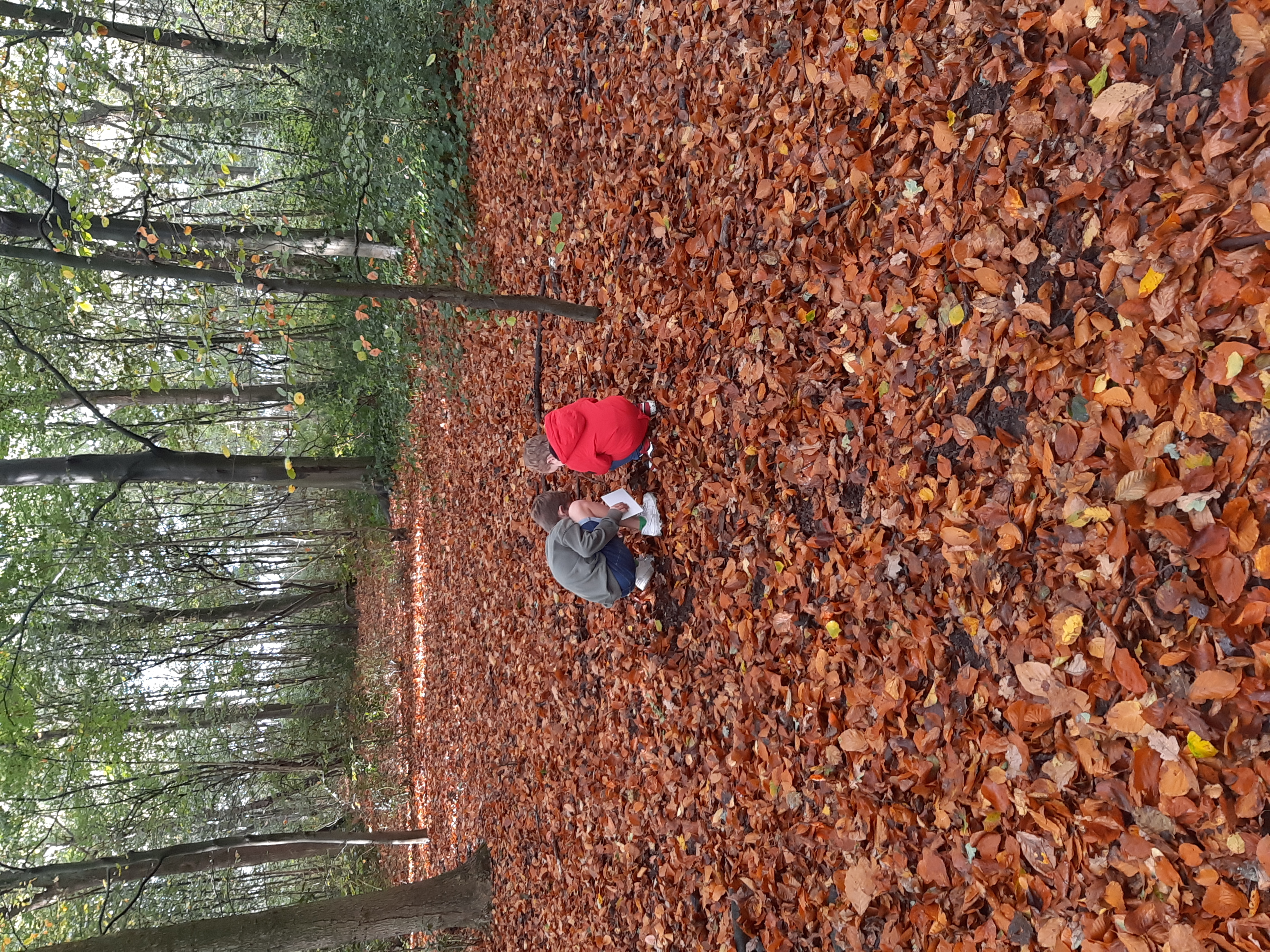 De week van groep 1/2a