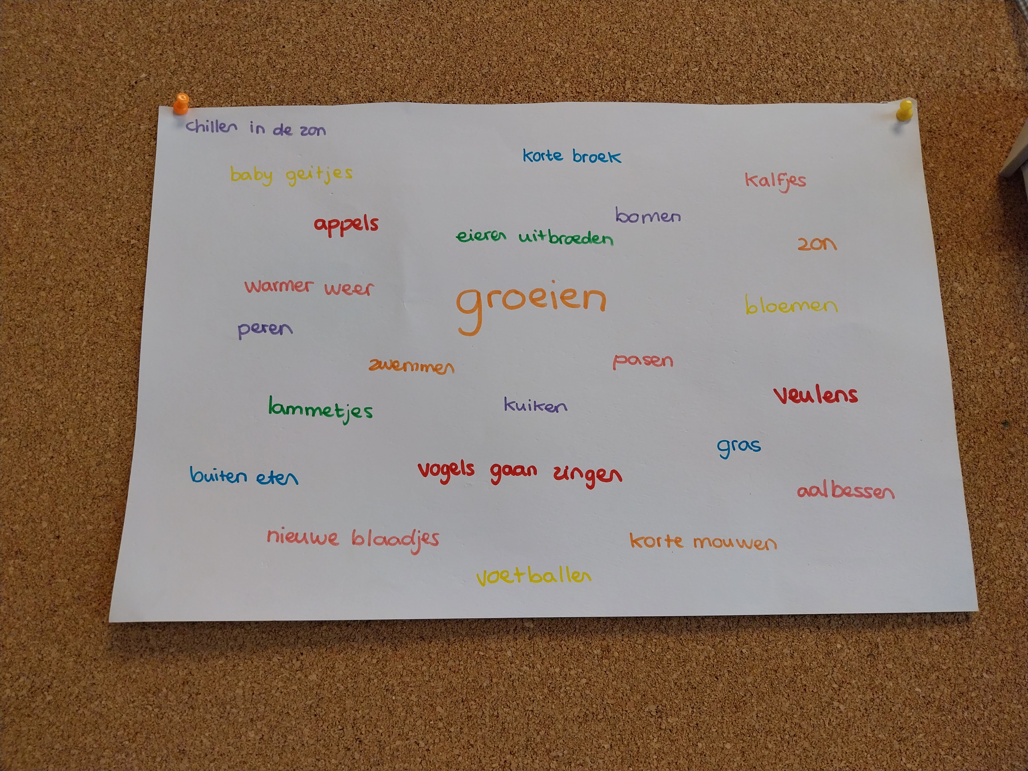 De week van groep 1/2 a