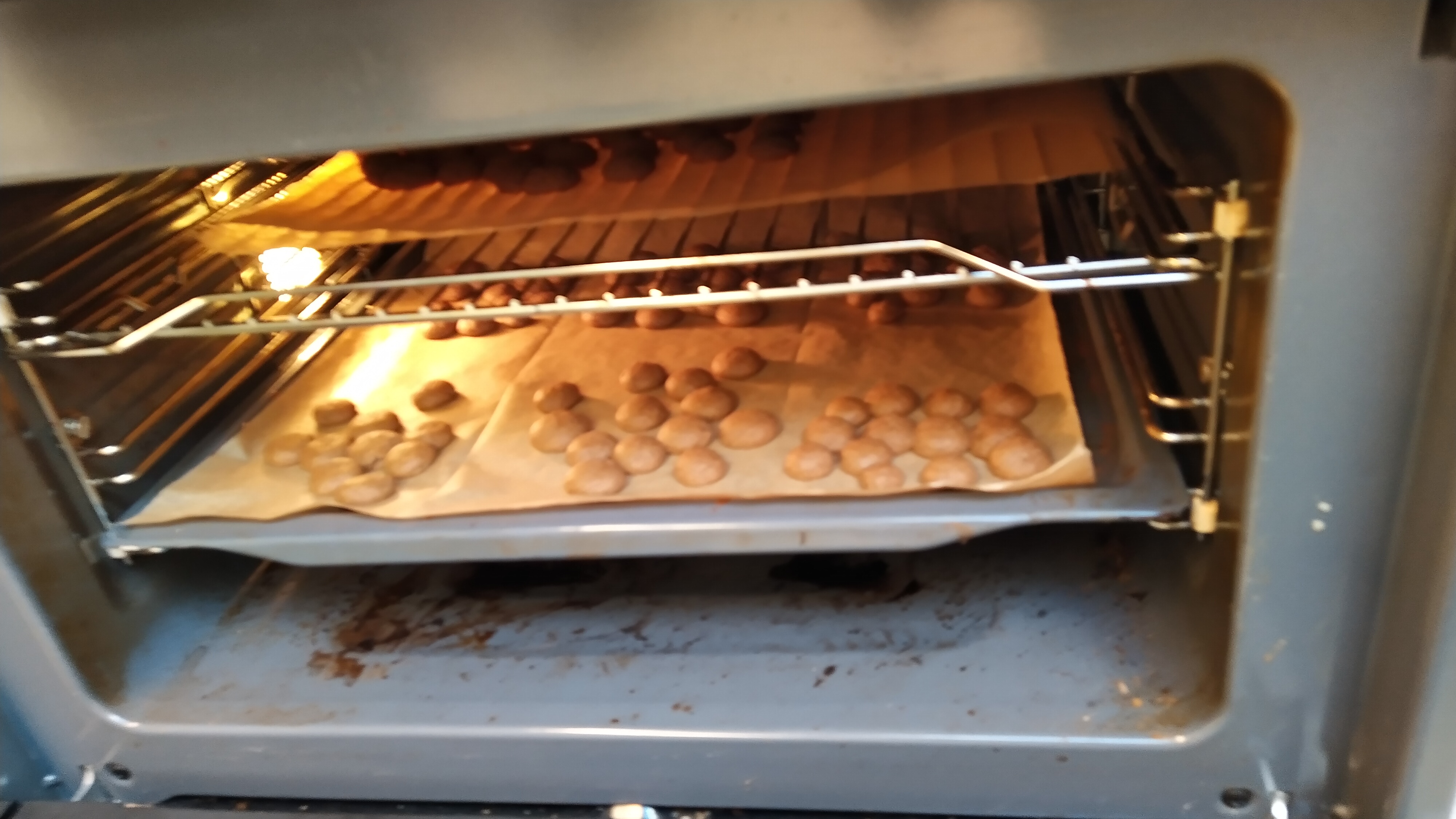 De week van groep 3/4