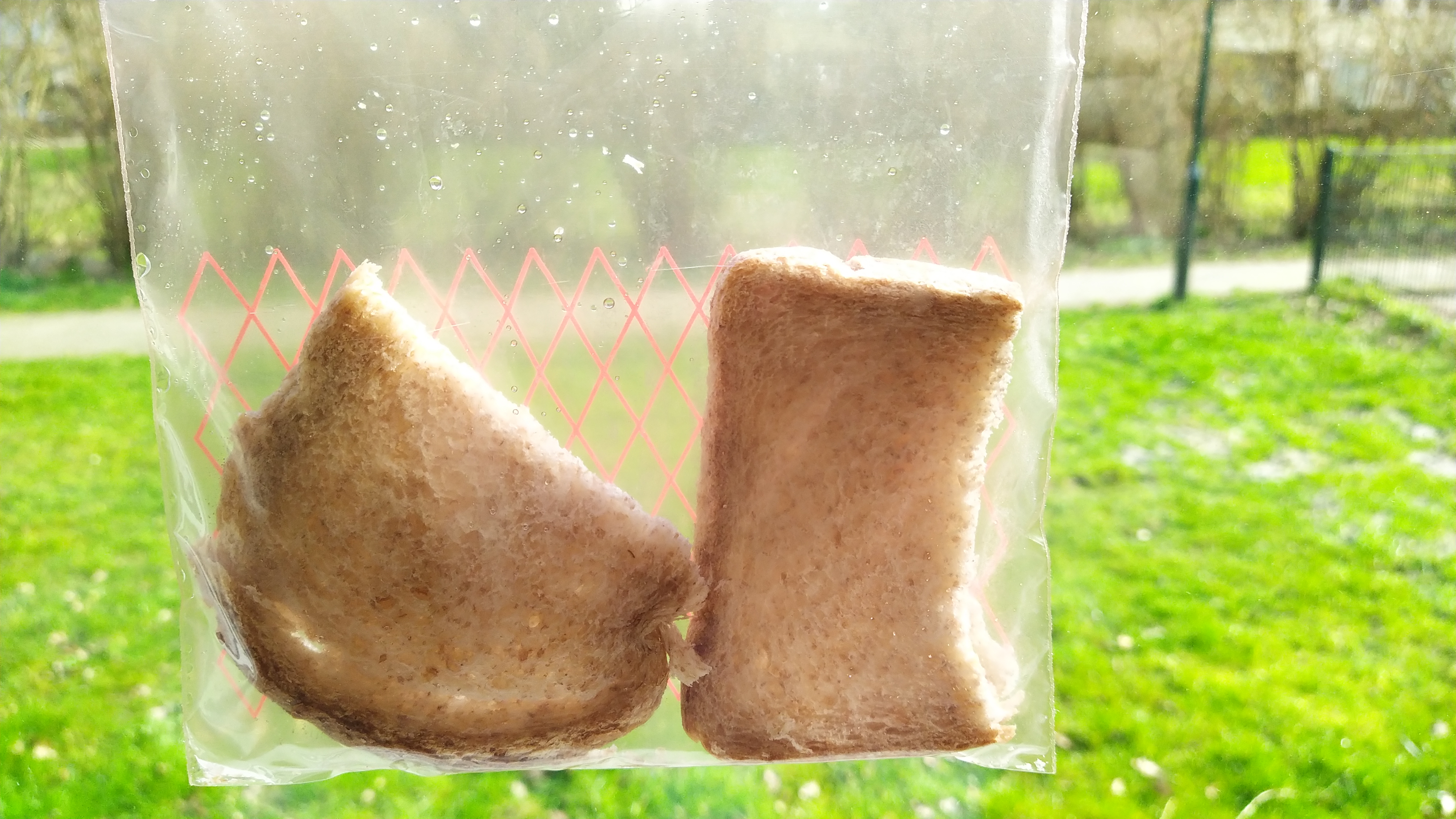 De week van groep 3/4