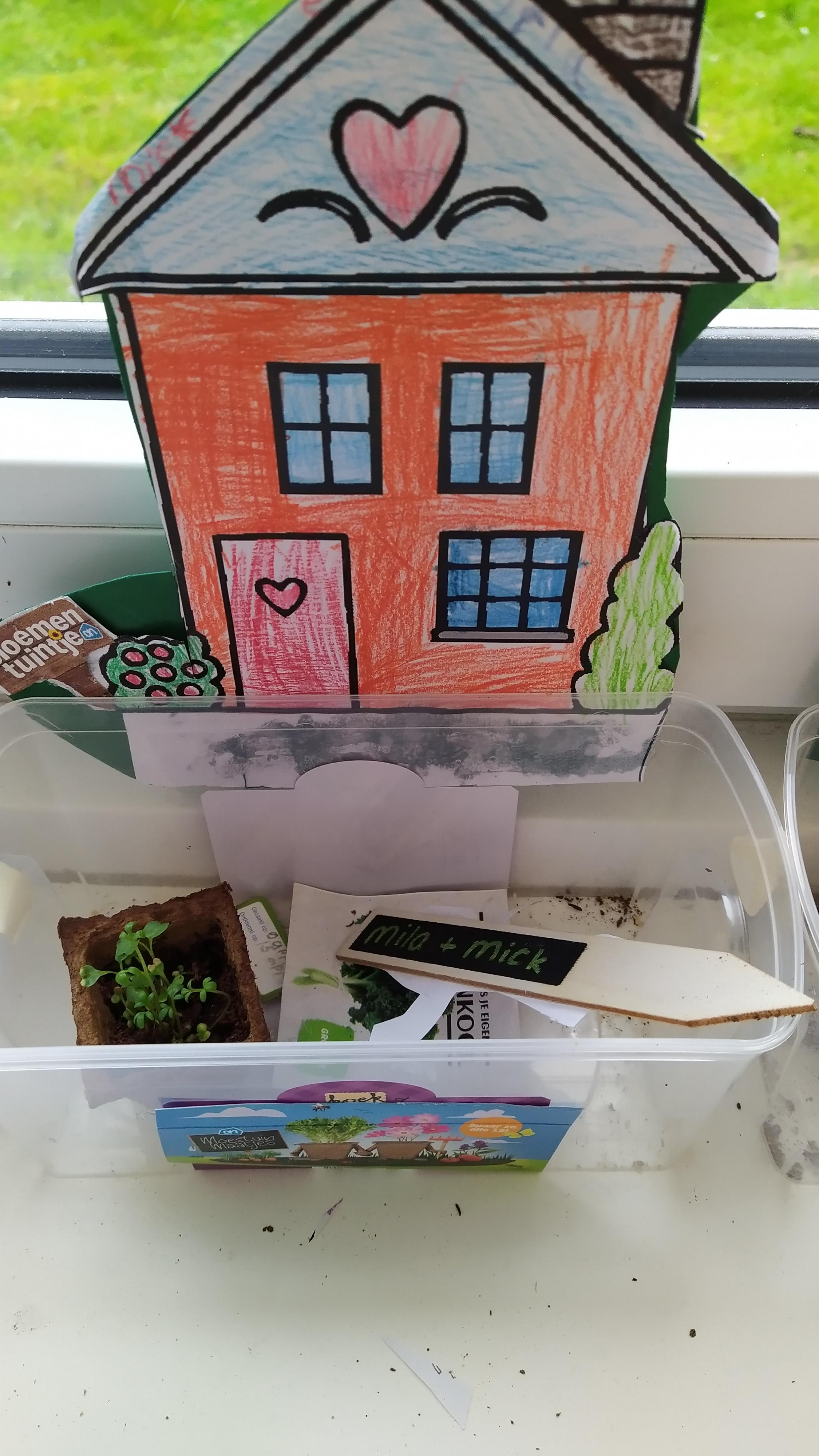 De week van groep 3/4