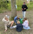 IMG_1500