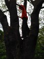 IMG_20250417_103332