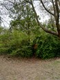 IMG_20250417_103705