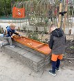 IMG_1579