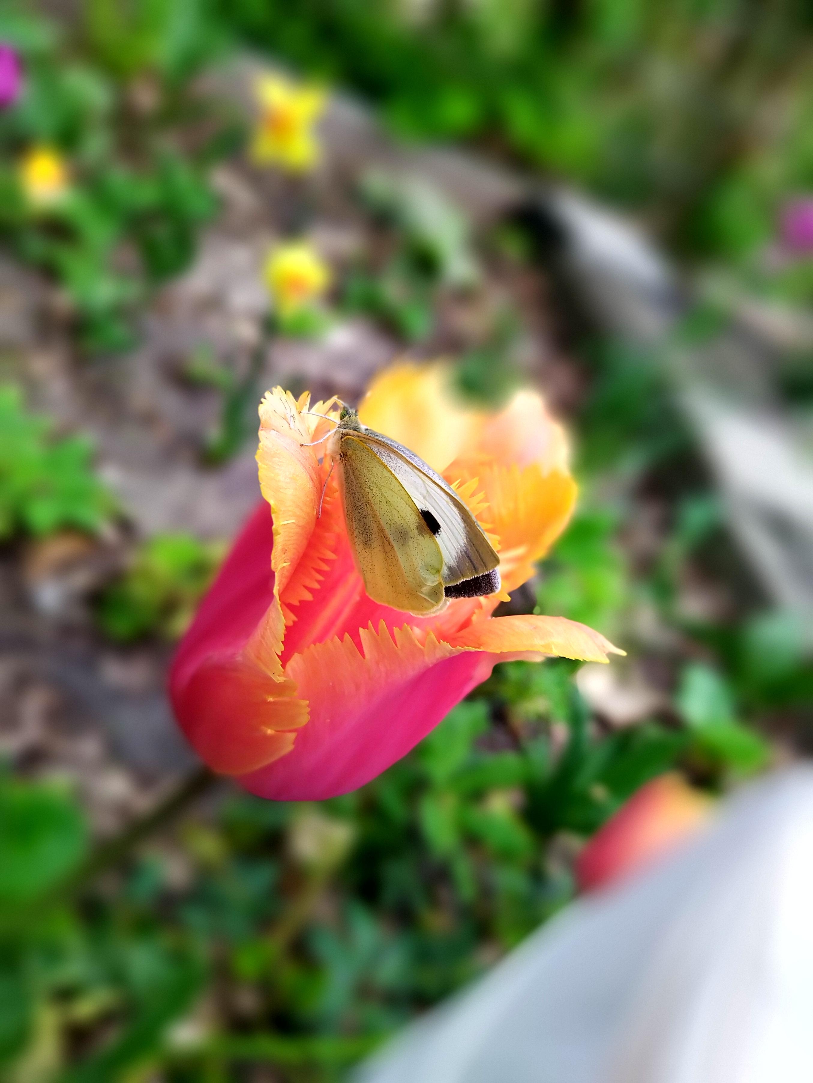 De week  van groep 3