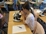 IMG_20250514_084907