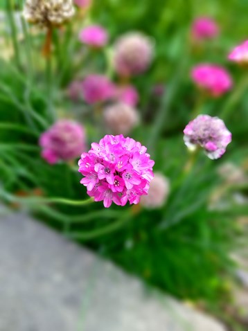 IMG_0471
