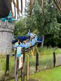 IMG_6493