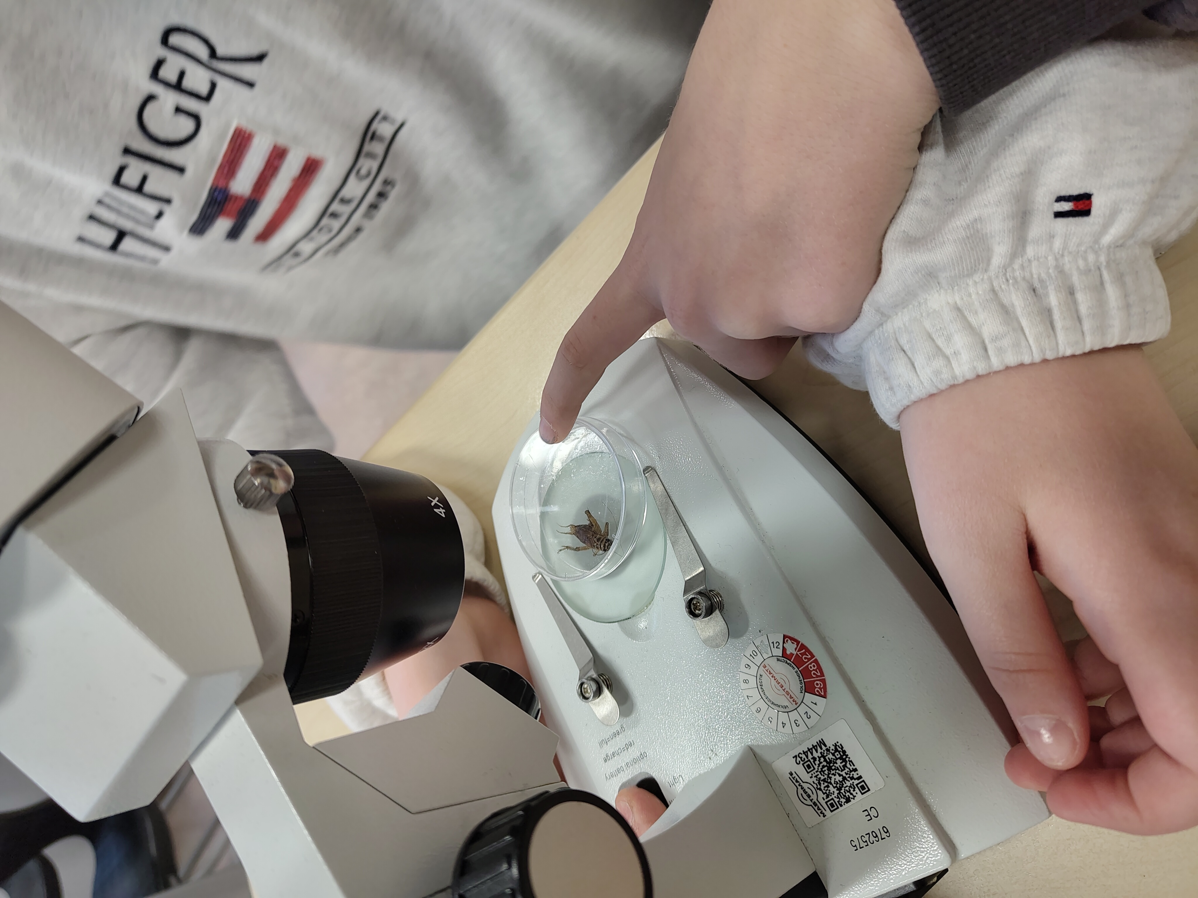 De laatste week van 2025 van groep 8