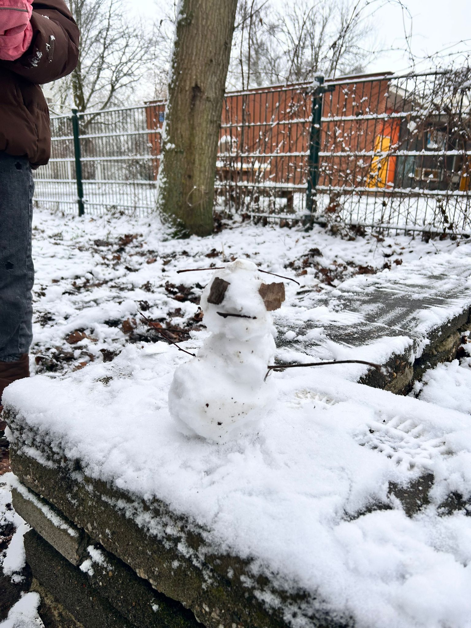 De week van groep 1/2a